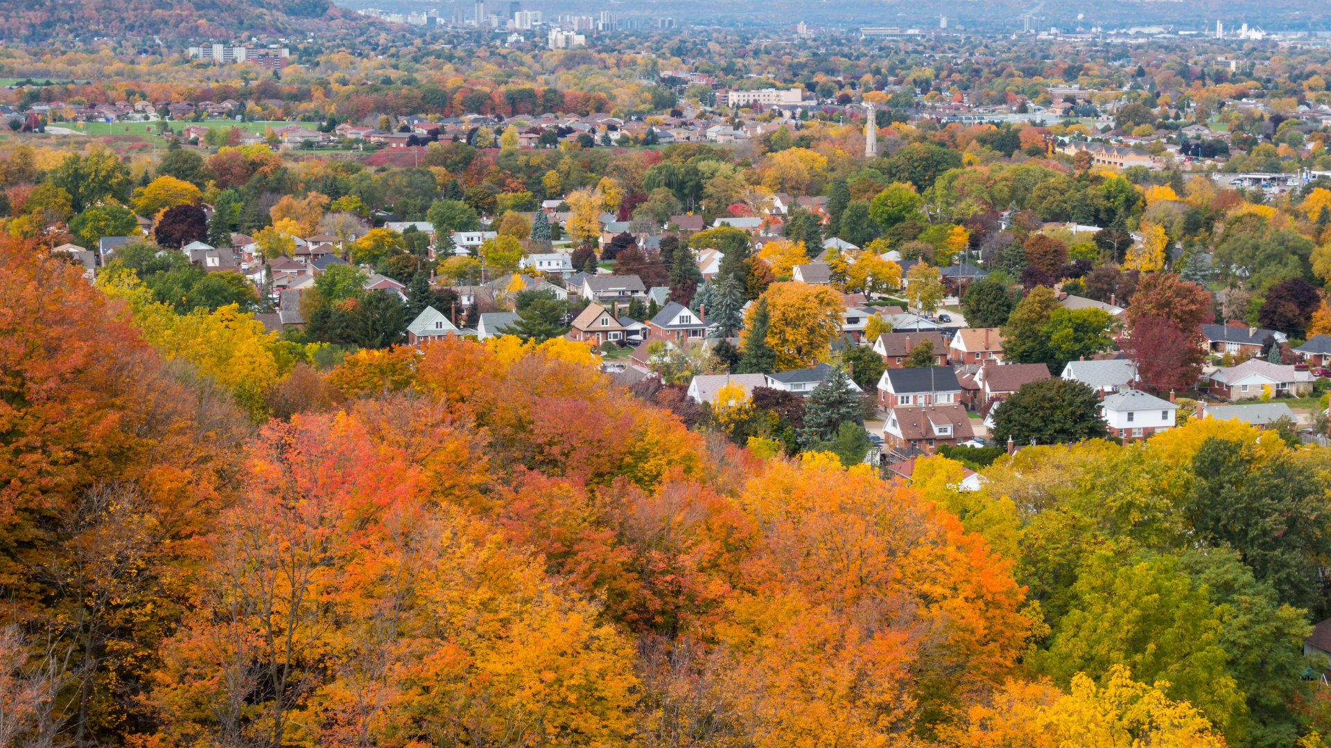 The Commuter’s Dream: Why Barrie’s Major Transit Station Areas Are Goldmines